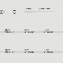 Alternative view of T - file, Path rotary file, NIC