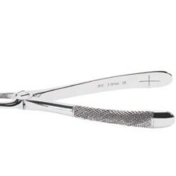 Forceps for adults no.2, Incisors/Upper canines, R&S