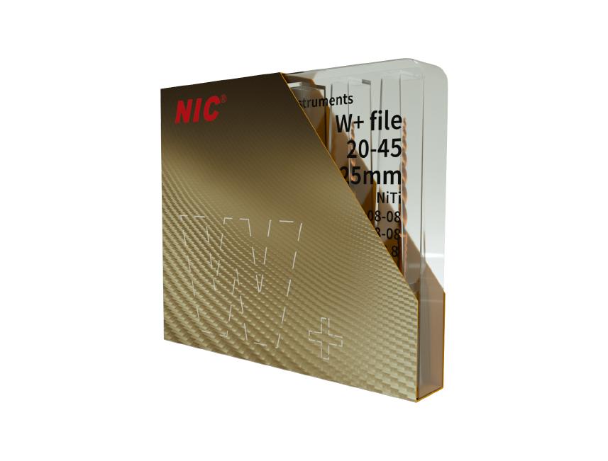 W+ File, one file system,NIC